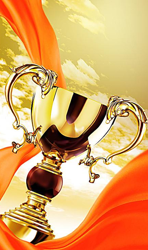 榮譽(yù)資質(zhì)