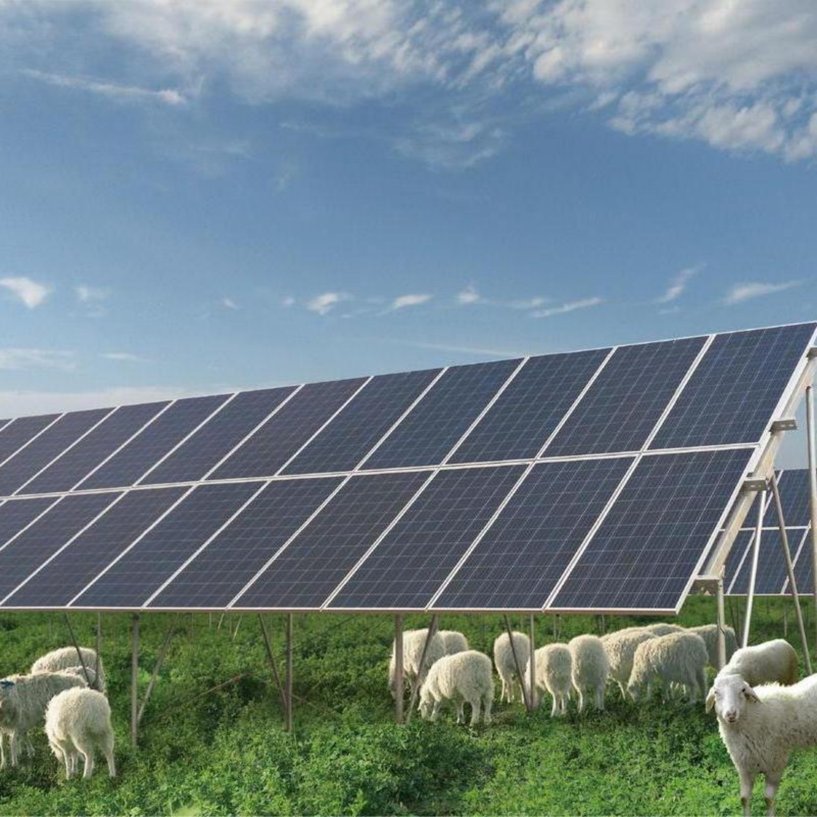 鋅鋁鎂光伏支架